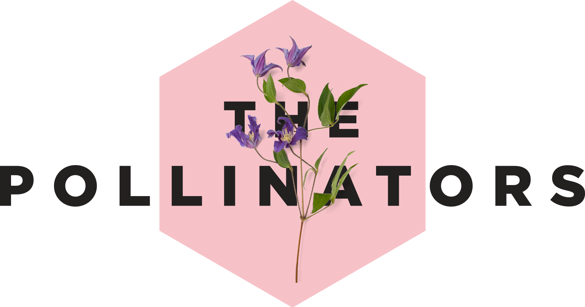 Stichting The Pollinators startpagina